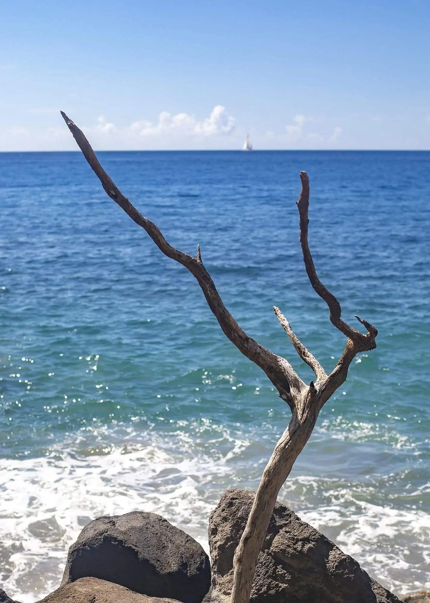 Weathered Wood