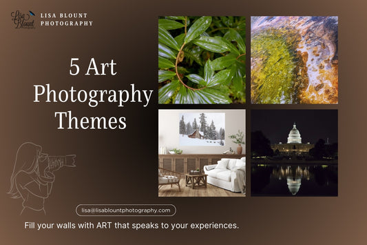 Five wall decor art photography themes.  Nature inspired includes - abstract, botanical, animals, landscapes and landmarks.   Picking the right theme for each room.