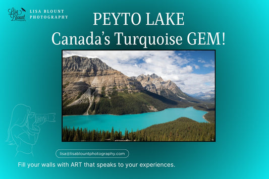 Tips and tricks for visiting Peyto Lake - Canada’s Turquoise Gem!  Nestled in Banff National Park these tips help you navigate your day.