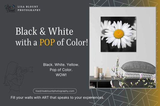 Black and White Photography with a pop of color featuring a daisy with the yellow center hanging on a white wall with dark grey furniture and accessories