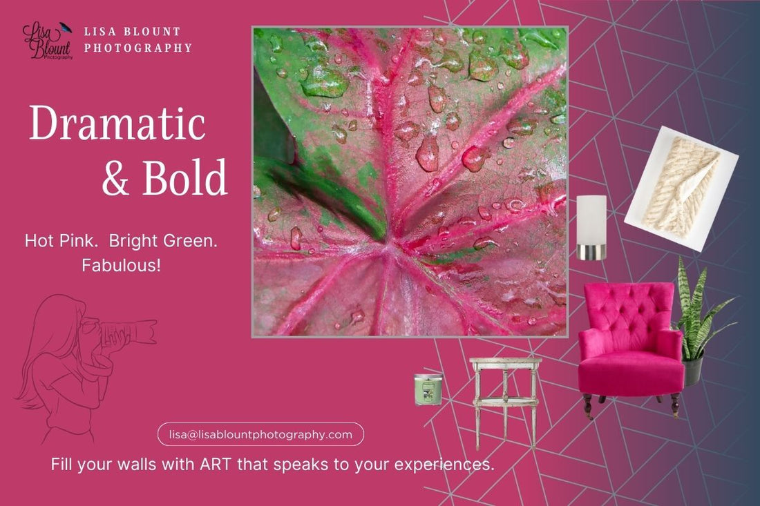 Hot pink moodboard featuring large art of pink and green Caladium from St Lucia