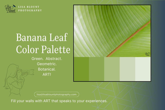 Green color palette for tropical banana leaf plant fine art photography by Lisa Blount Photography