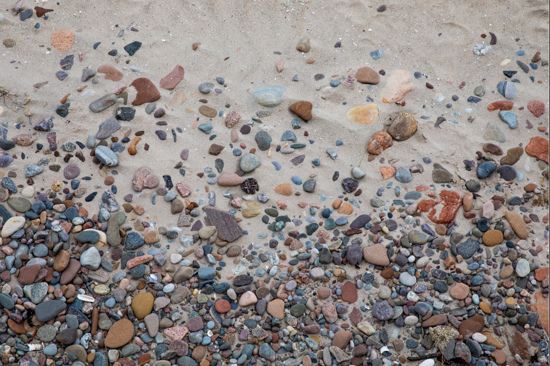 Scattered Jewels of Nairn - A Peek at Nature’s Artistry