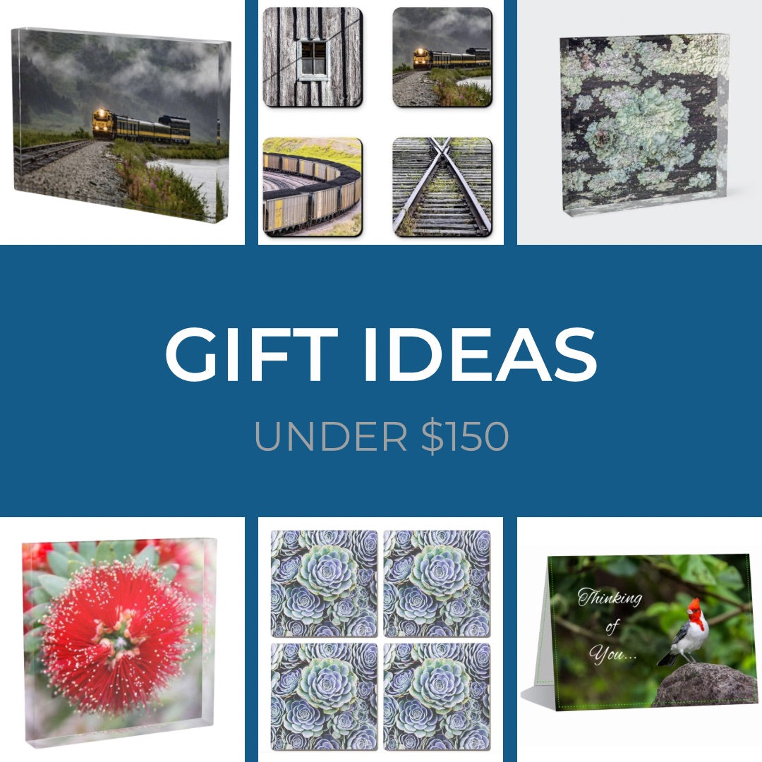 Gift Ideas Under $150