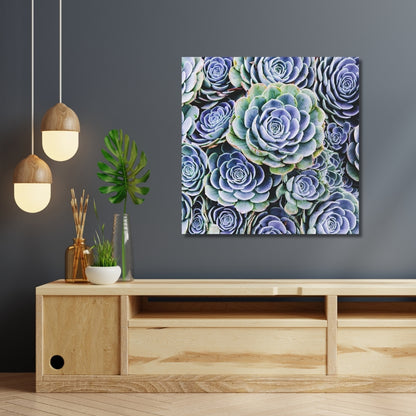 Fine art photography of blue-toned hen and chicks succulents,  displayed on a medium blue grey wall above a short credenza.  A perfect blend of nature and minimalistic contemporary inspired decor.