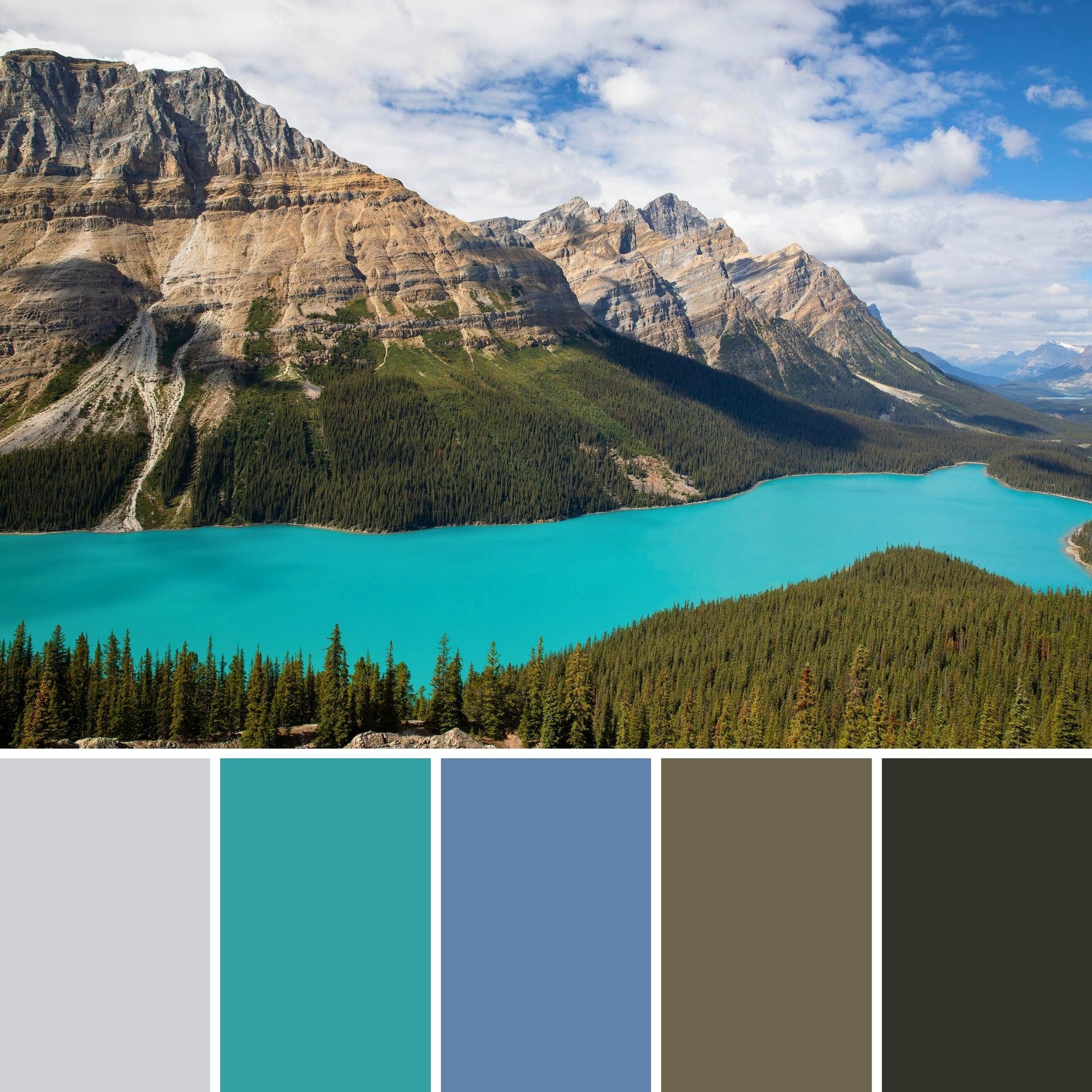 A calming nature themed color palette of Peyto Lake in Banff National Park. The vibrant turquoise waters of the lake bring a striking contrast to the neutral tones of the trees and blue cloudy skies. 