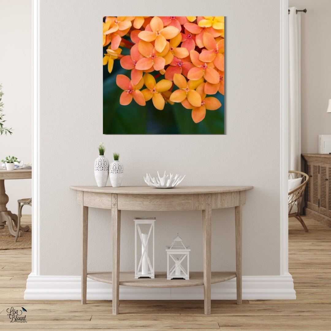 Orange and botanical large wall art of jungle geranium hanging in hallway of a neutral colored house