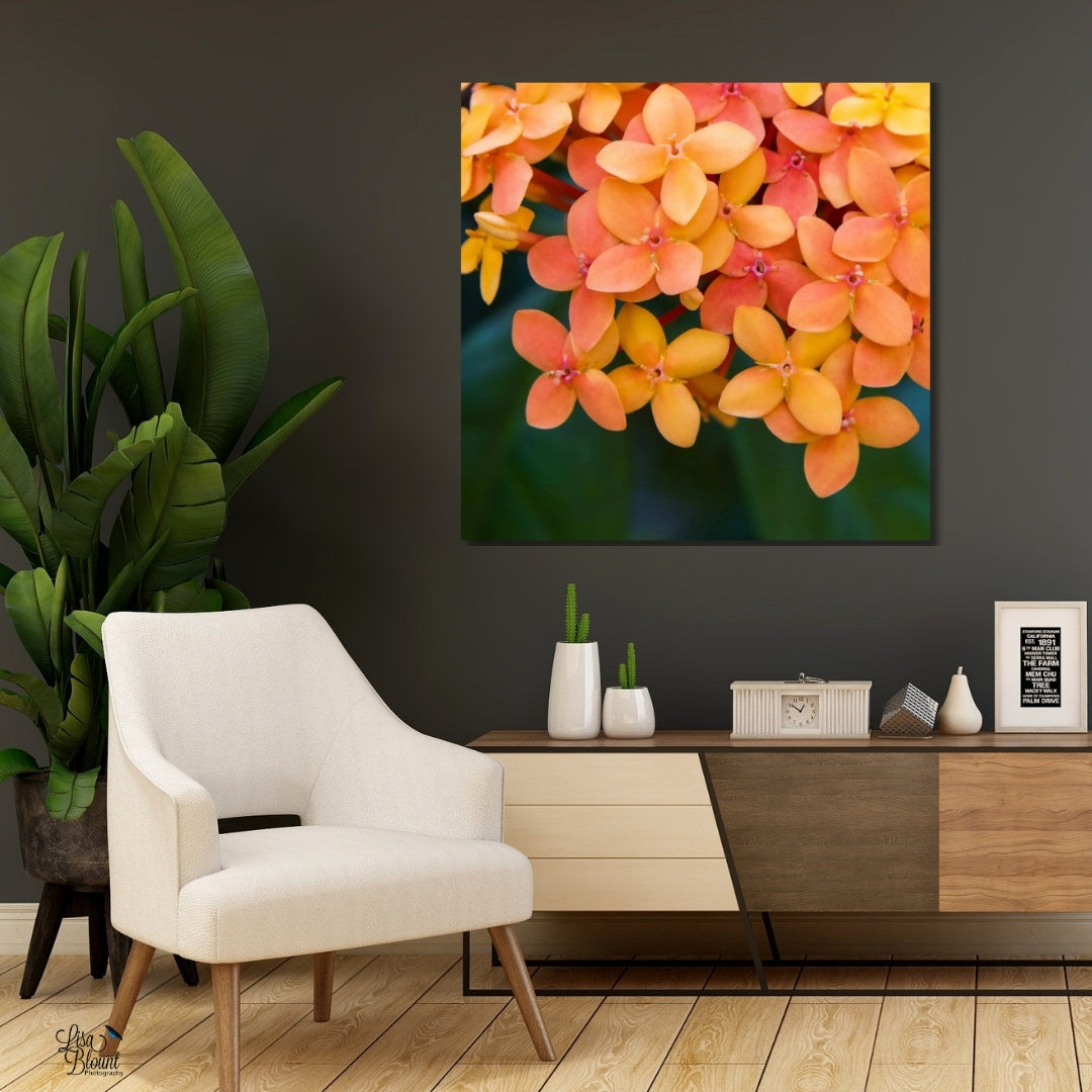 Bright orange jungle geranium flower large wall art hanging on brown wall in a professional sitting area or office