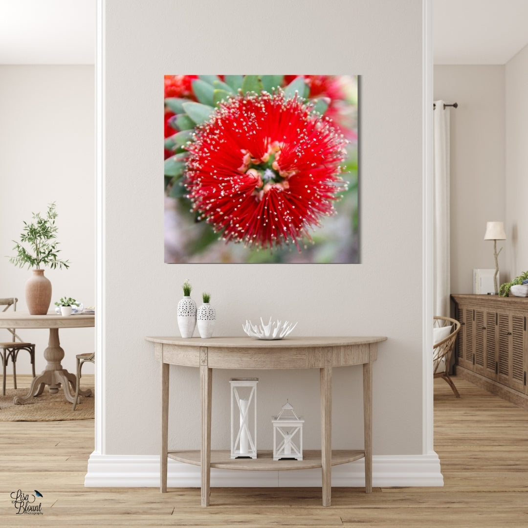 Bright red bottlebrush flower large wall art hanging in neutral farmhouse style decor hallway