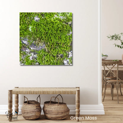 Green Moss abstract nature art hanging in hallway of farmhouse style decor room