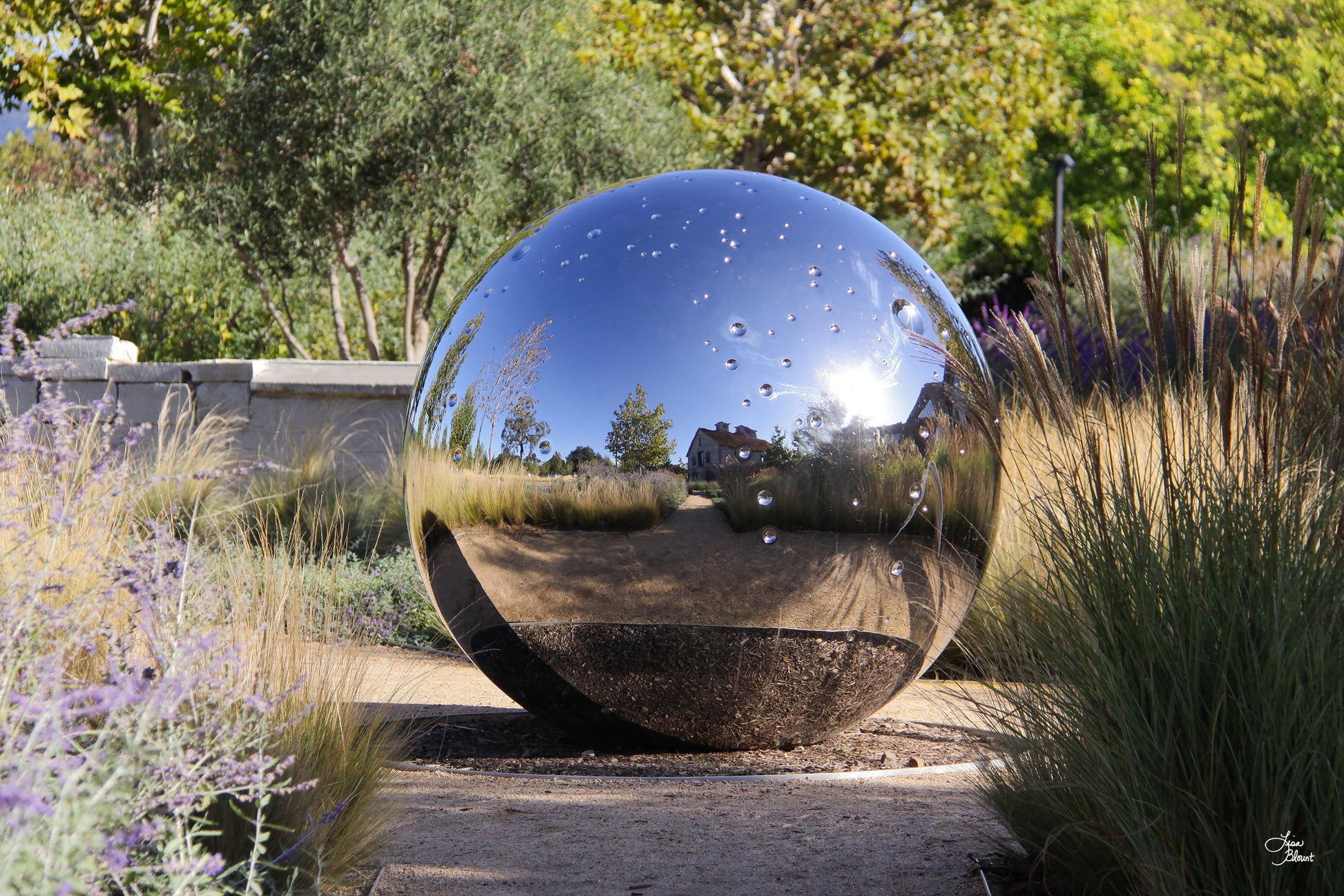 Fine art wall decor featuring a reflective gazing ball nestled in a natural setting in California.