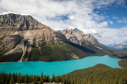 Peyto Lake in Banff National Park, Canada - large wall art decor with a stunning landscape view from the Peyto lake lookout