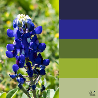 Texas Bluebonnet color palette of blues and greens for the fine art