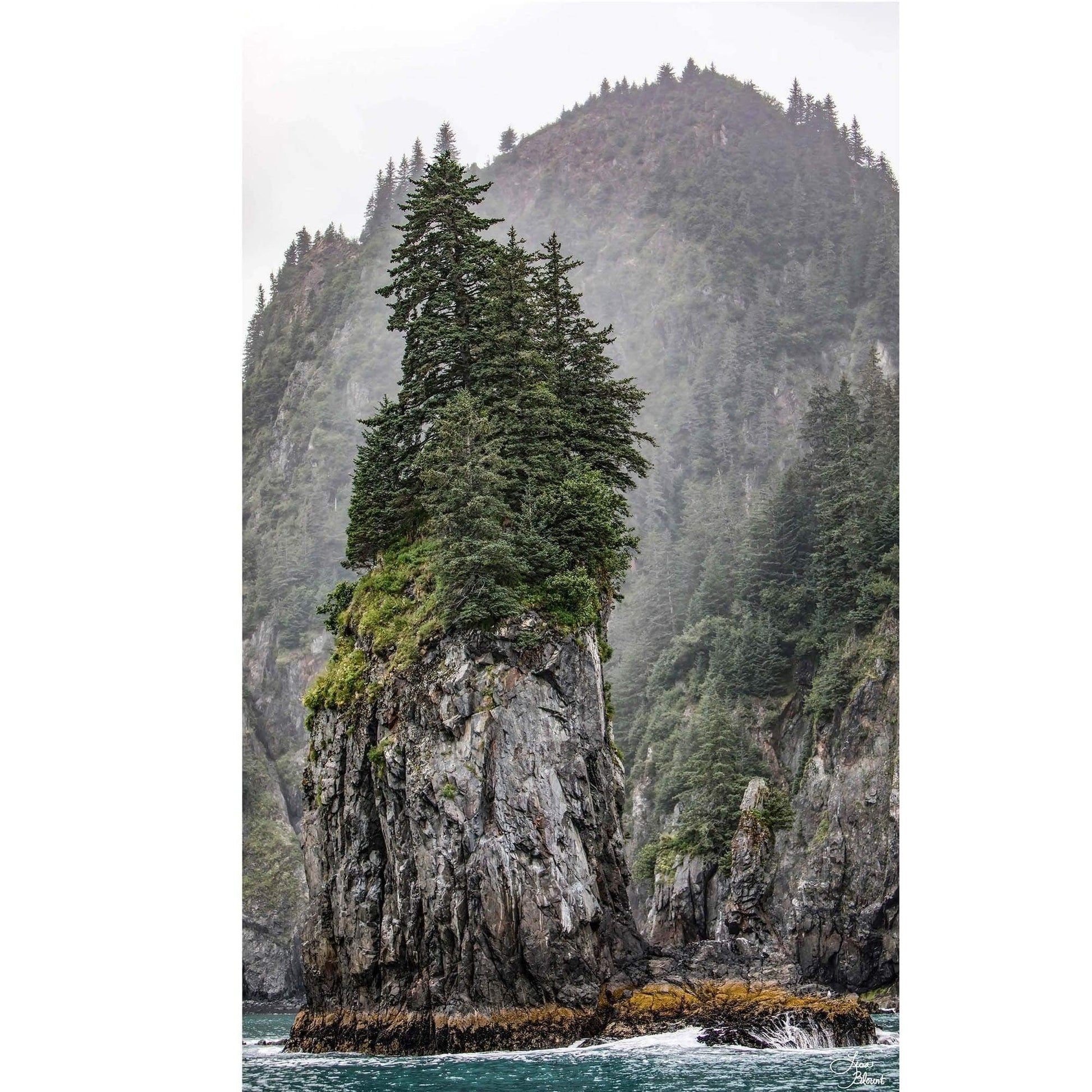 Limited edition fine art photography print of a solitary tree in Kenai Fjords National Park, Alaska, titled 'Standing Alone.'