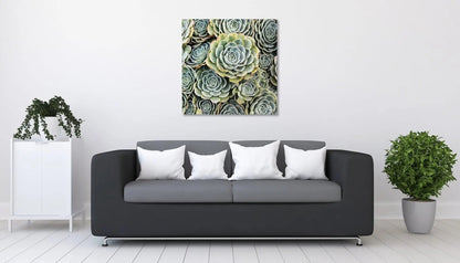 Succulent Beauty Black/White - Nature Fine Art - Lisa Blount Photography